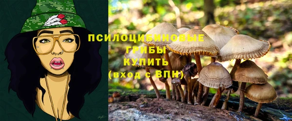 бутират Нефтекумск