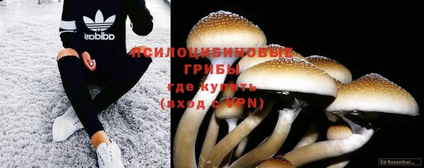 мдпв Нефтегорск