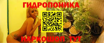 сатива Гусиноозёрск