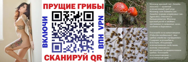 hydra ССЫЛКА  Североморск  Псилоцибиновые грибы прущие грибы 