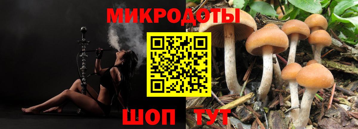 Галлюциногенные грибы ЛСД Североморск